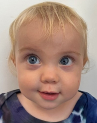 Image of Rain  Leary